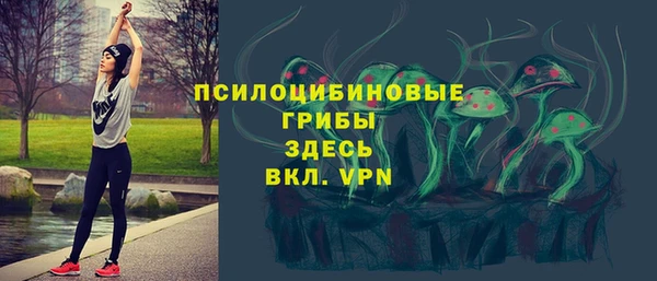 прущий лед Богородицк