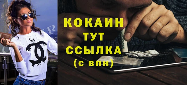 винт Сатка